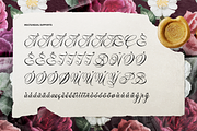 Alventary | Classic Elegant Script, a Script Font by gracetype_studio (Thumbnail 11 of 12)