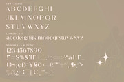 Hegam Modern and Stylish Serif Font, a Serif Font by Storytype Studio (Thumbnail 13 of 15)