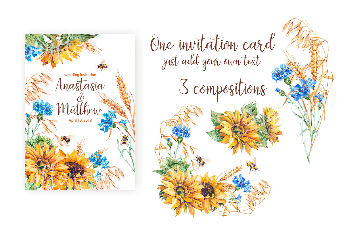 Watercolor sunflowers, cornflowers, an Illustration by Alamella (Photo 2 of 4)