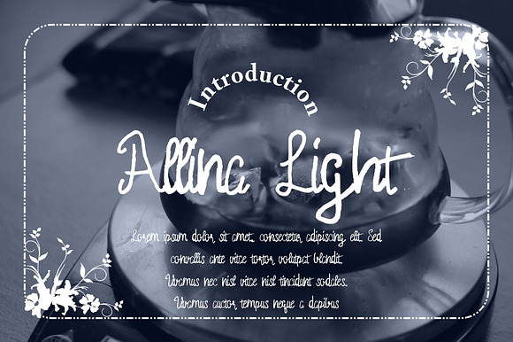 Allina Light preview 8