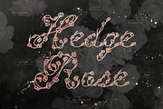 Hedge Rose Decorative Floral Script, a Script Font by AnMark (Thumbnail 1 of 10)