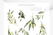 Watercolor Olive greenery clipart, a Decorative Illustration by Catherine Wheel (Thumbnail 18 of 19)