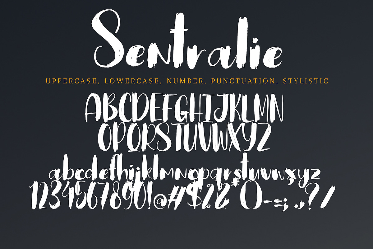 Sentralie, a Handwritten Font by pineungtype (Photo 5 of 5)