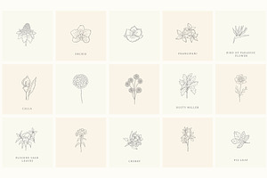 Botanical Hand Drawn Designs, Logos