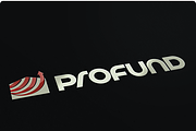 ProFund Logo Design, a Branding & Logo Template by free2fonts (Thumbnail 2 of 5)
