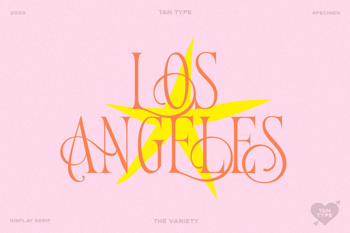TAN - Variety, a Serif Font by TanType (Photo 15 of 26)
