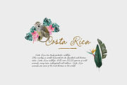 COSTA RICA — jungle animals, an Animal Illustration by Lana Elanor (Thumbnail 3 of 11)