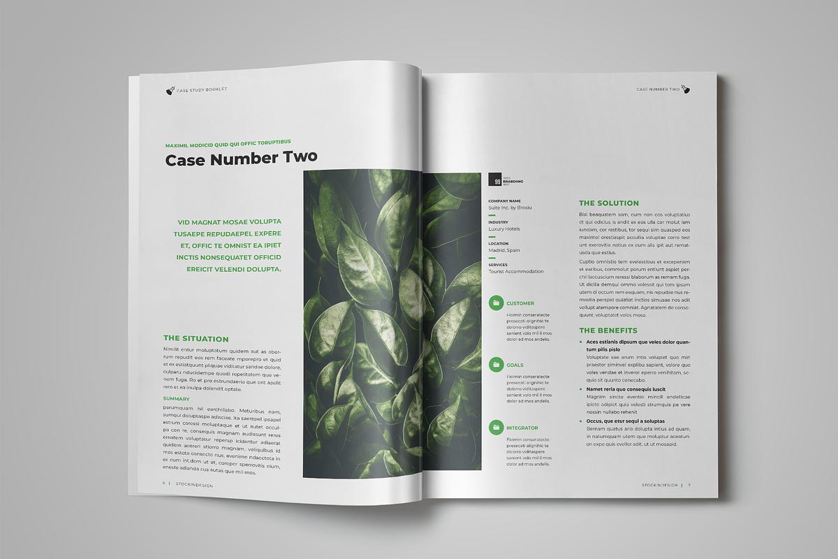 Case Study Booklet, a Templates & Theme by StockInDesign (Photo 4 of 10)