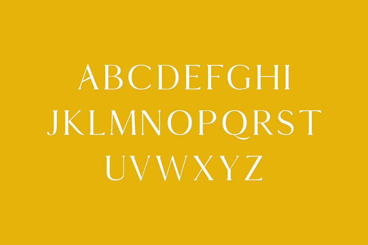 Thomas Mag Serif Fonts Family Pack, a Serif Font by Creativetacos (Photo 2 of 5)