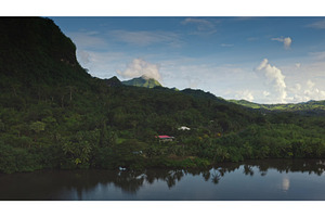 Lush jungle landscape with mountain, a Nature Photo by Goinyk