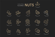 Nuts & seeds icons & logos, an Icon by Merfin (Thumbnail 8 of 9)