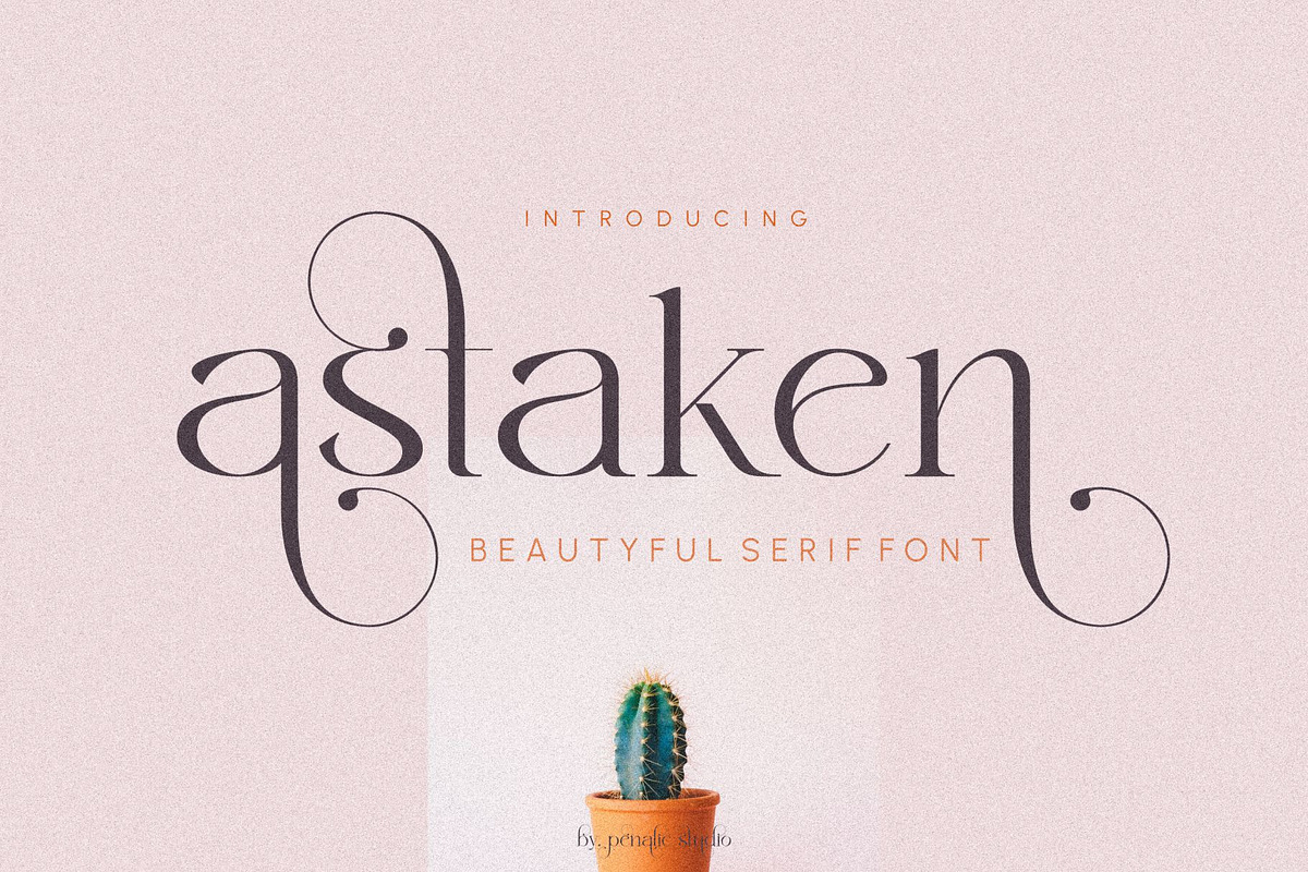 Astaken _ Beautyful serif font, a Serif Font by Penatic Studio (Photo 1 of 11)