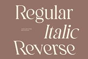 CS Bellara – Modern Serif Font, a Serif Font by Craft Supply Co. (Thumbnail 3 of 8)