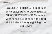 Gerisska – Elegant & Modern Stylish, a Serif Font by BrandSemut (Thumbnail 9 of 10)