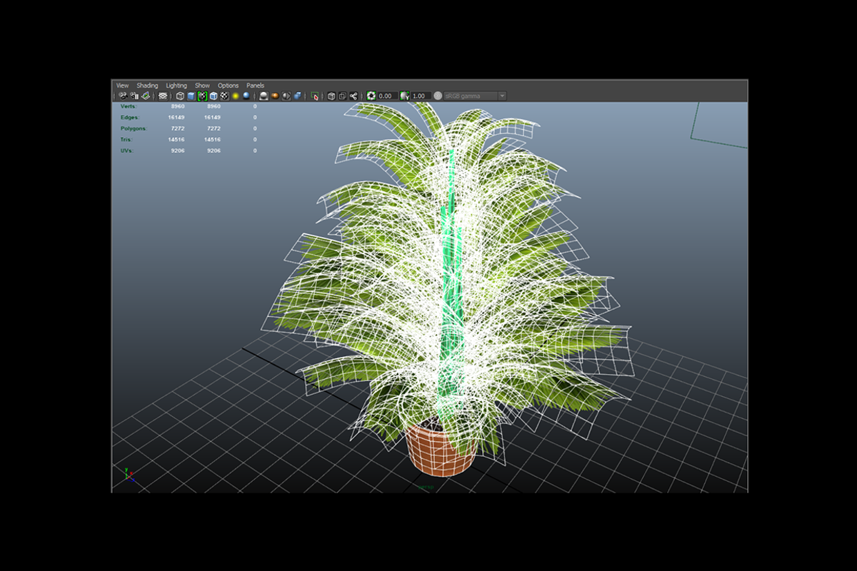 Indoor Plant : Fern, a Plants & Tree 3D Model by Kindesigns (Photo 4 of 4)