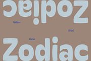 30% OFF! Flatface Briska, a Sans Serif Font by Flatface (Thumbnail 6 of 14)