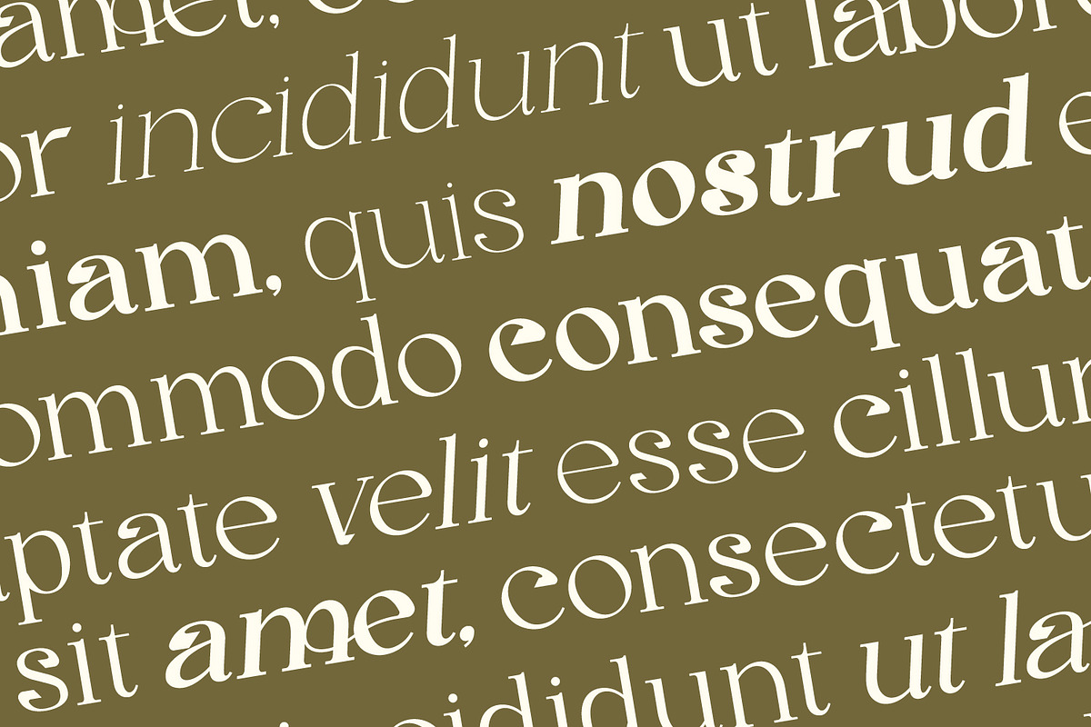 Gineby - Serif Typeface Font, a Serif Font by Rishsketch (Photo 8 of 16)