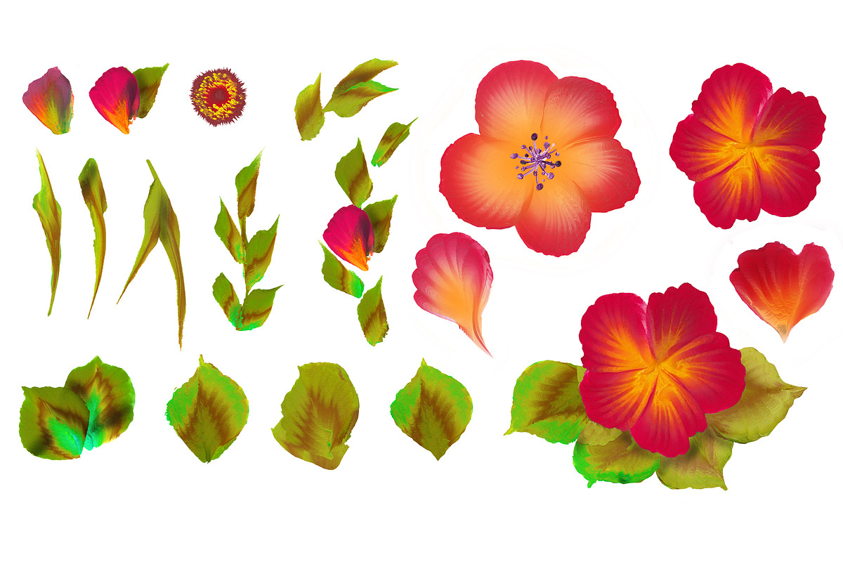 150 One stroke flowers style., a Decorative Illustration by redstudio (Photo 5 of 7)