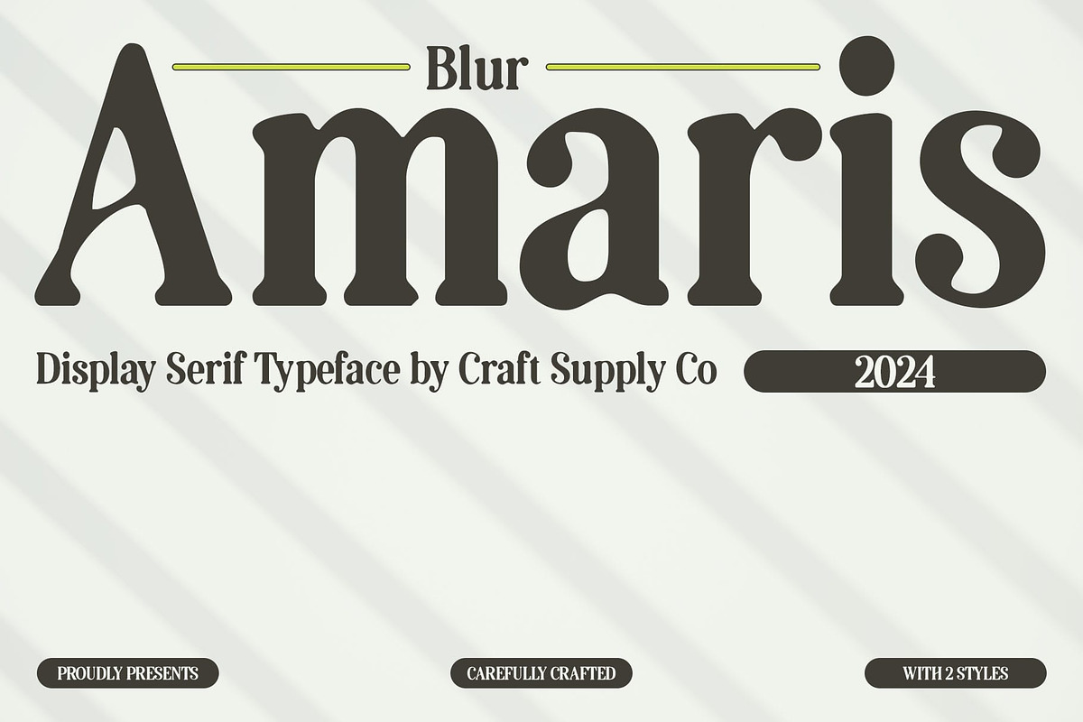 Amaris Blur, a Serif Font by Craft Supply Co. (Photo 1 of 8)