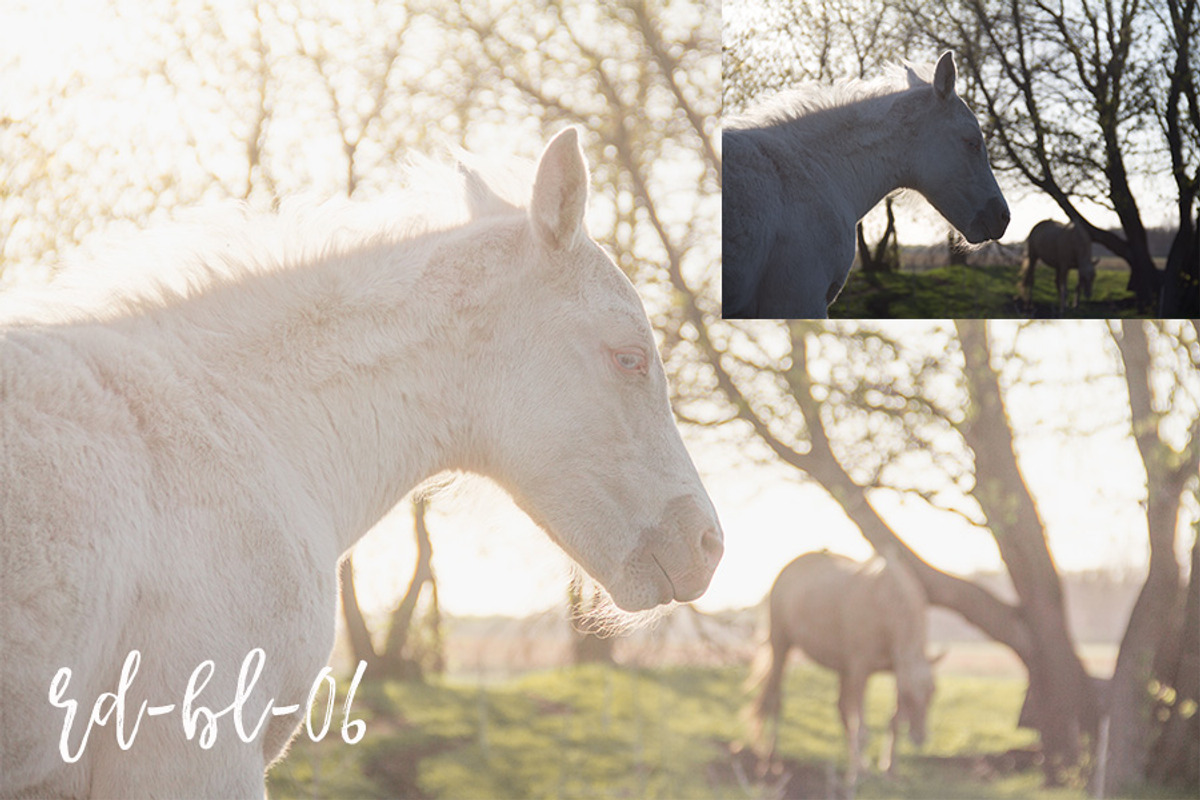 The Backlit Series preview 6