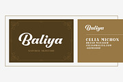 Righton - Script & Serif Font Duo, a Serif Font by Letterhend Studio (Thumbnail 4 of 10)