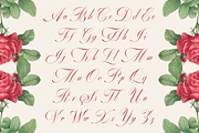 GEFUHATPIN — Elegant Calligraphy, a Script Font by Enxyclo Studio (Thumbnail 14 of 23)