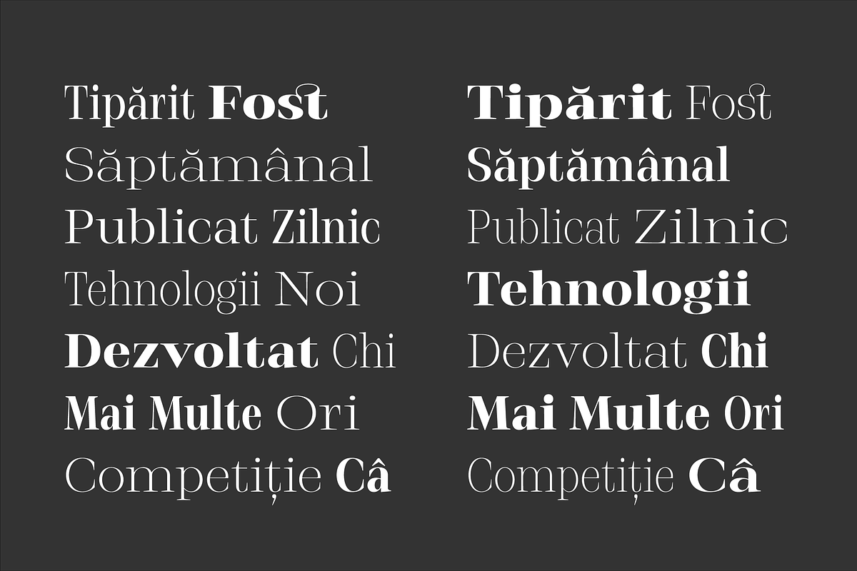 Stigsa Display Font Family, a Serif Font by Seniors (Photo 15 of 15)