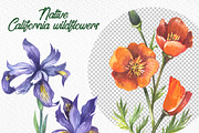 Native California wildflowers, an Illustration by FITALARTSNEDIGI (Thumbnail 5 of 8)