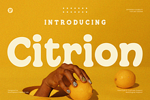 Retro Vibes Rounded Serif - Citrion