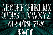 Sylvester, a Serif Font by Canden Meutuah (Thumbnail 6 of 8)
