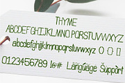 Willow & Thyme with Logo Ornaments, a Script Font by Storyteller Design (Thumbnail 3 of 10)