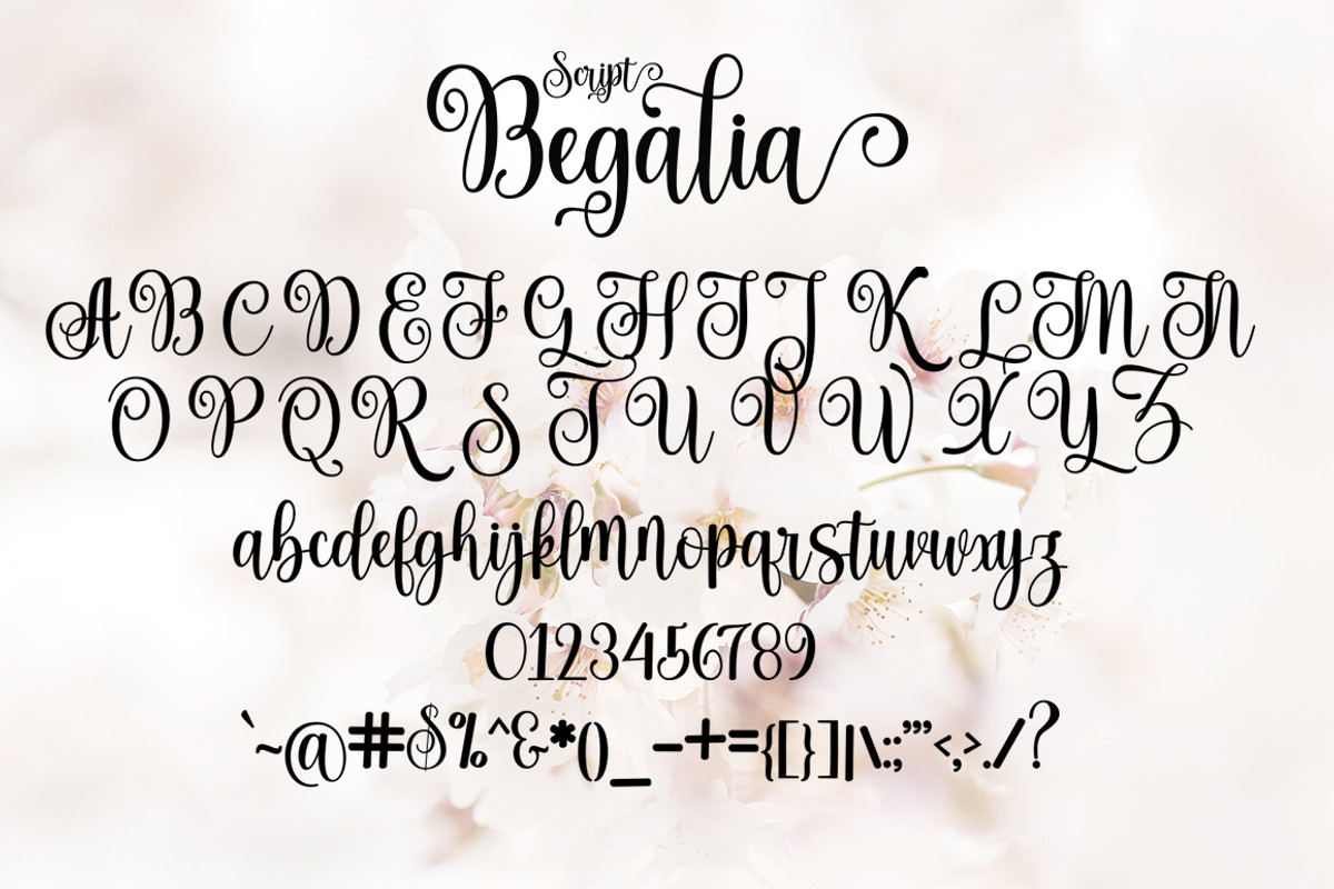 Begalia Script, a Script Font by Mr.johncreative.co (Photo 7 of 8)