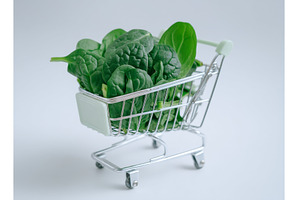 The concept of shopping for healthy, a Food & Drink Photo by ZinetroN