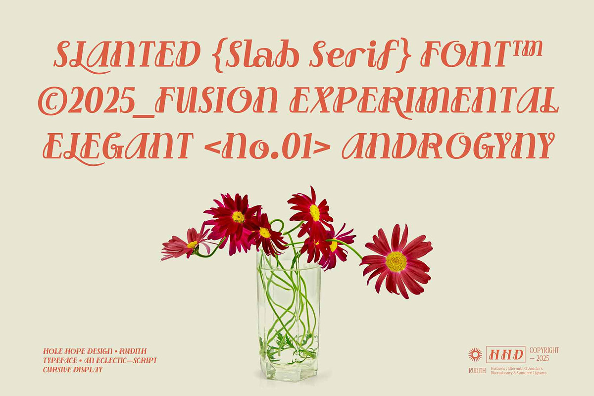 Rudith | Eclectic Script Cursive, a Script Font by Hole Hope Design (Photo 3 of 10)
