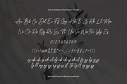 The Chairman Modern Signature Font, a Script Font by Heinzel Std (Thumbnail 22 of 23)