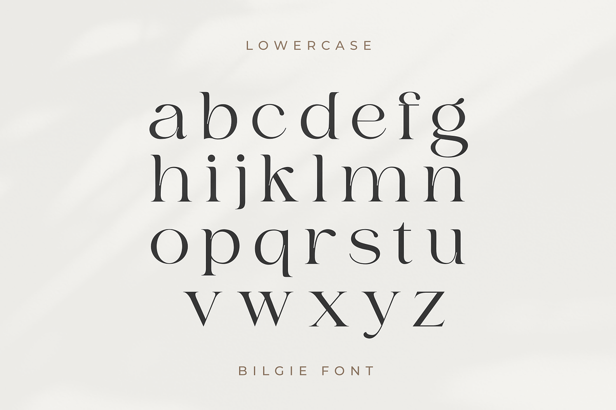 Bilgie - Chique Serif Font, a Serif Font by zeenesia (Photo 16 of 19)