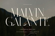 Malvin Galante Elegant Serif Font, a Serif Font by Graphicxell (Thumbnail 1 of 8)