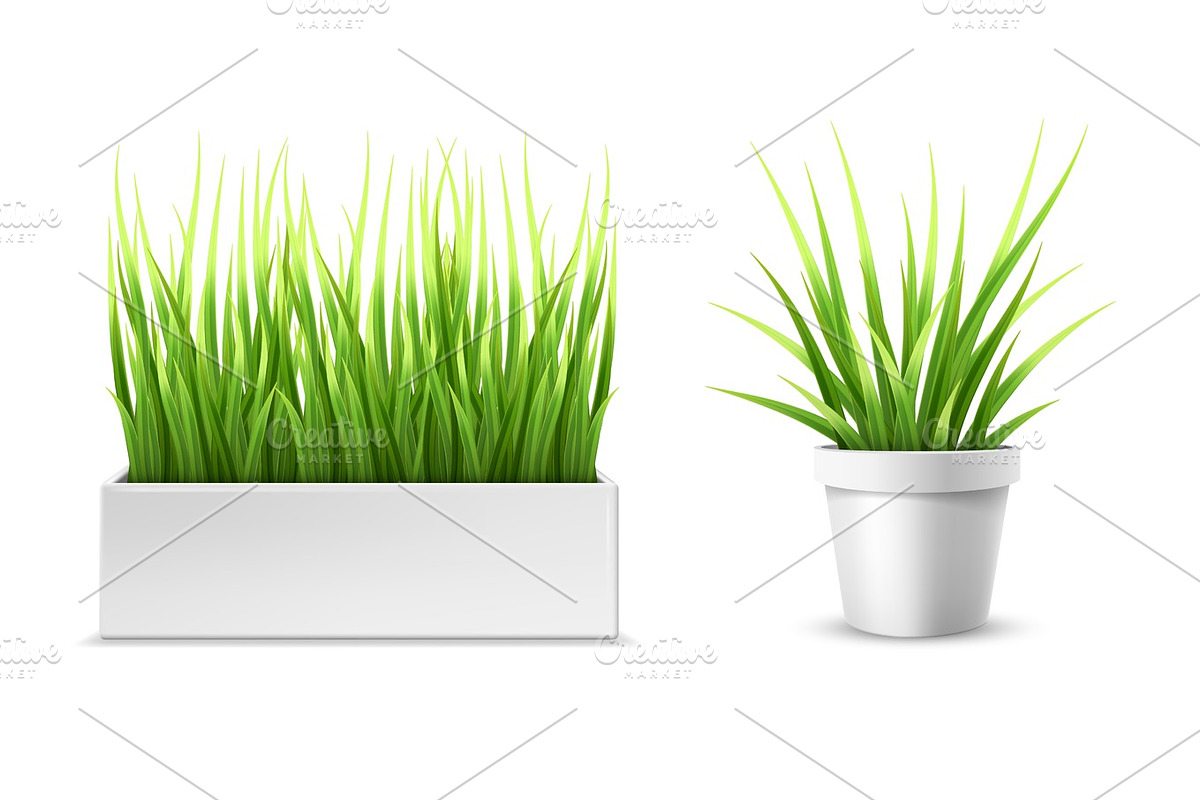 green grass in a rectangular and round pot, a Decorative Illustration by belander