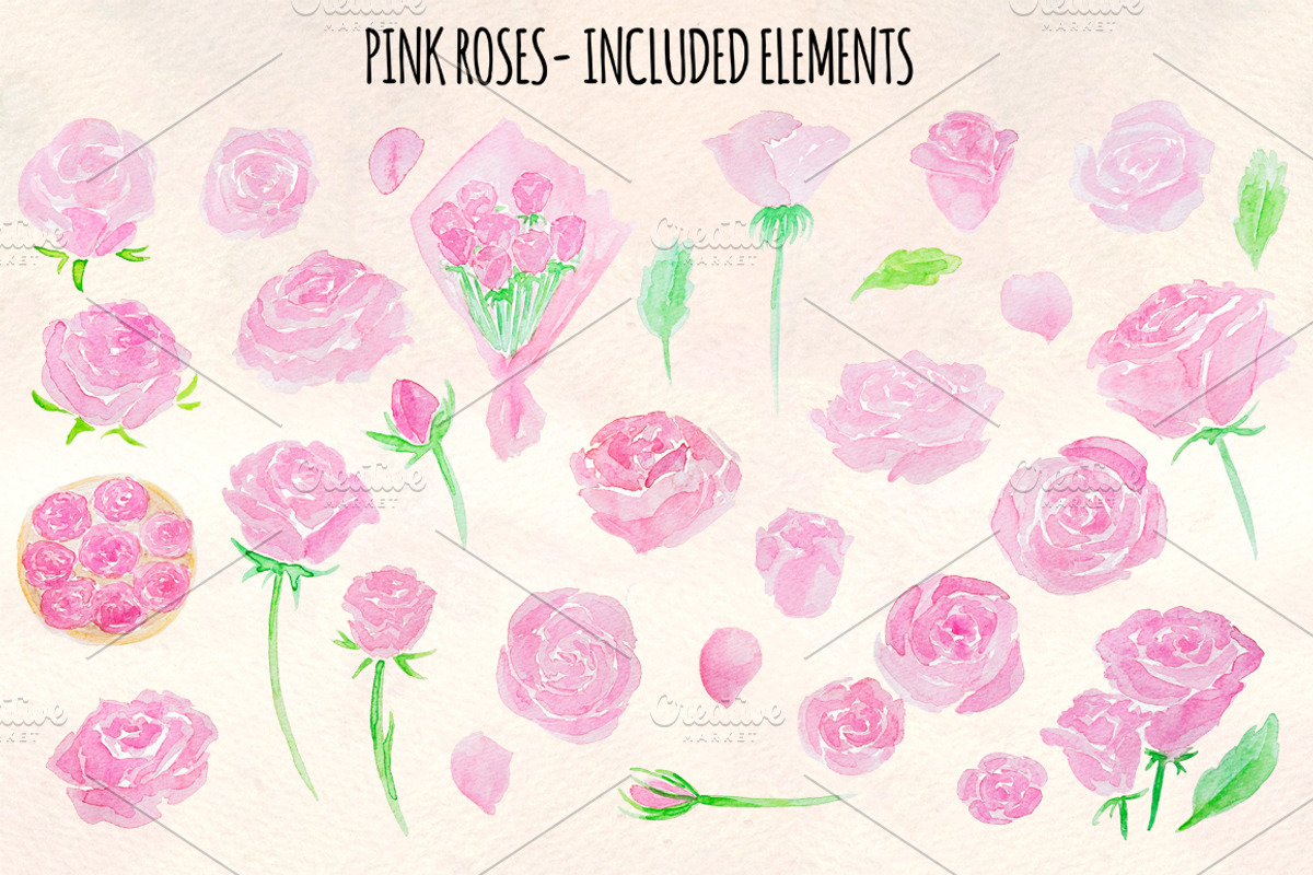 31 Pink Roses Watercolor Graphics, a Seasonal Illustration by Violet LeBeaux (Photo 2 of 3)