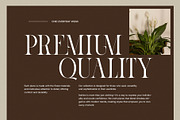 Cinema Authentic Elegant Serif Font, a Serif Font by Perfectype (Thumbnail 5 of 8)