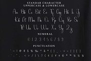 Homeland, a Handwritten Font by FreshTypeINK (Thumbnail 7 of 8)