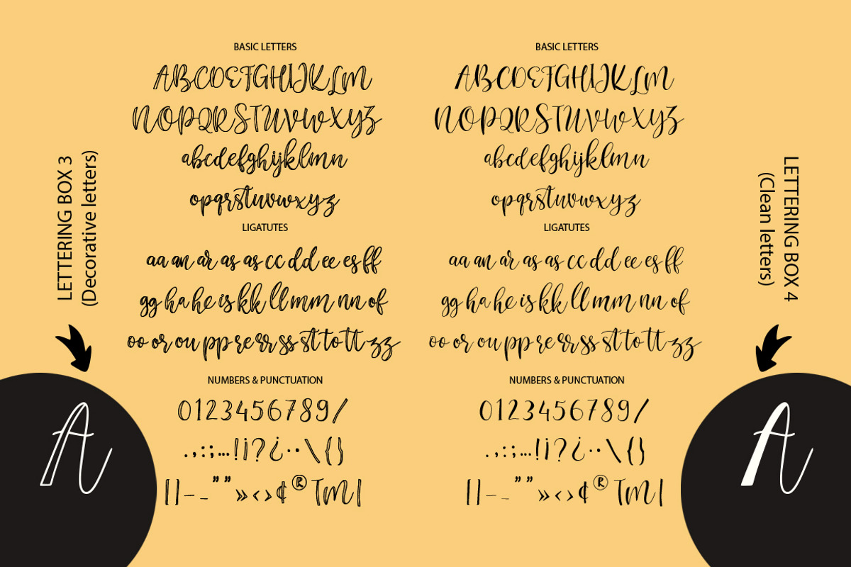 Lettering box. 8 Fonts & Extras!!!, a Script Font by Red Ink (Photo 18 of 20)