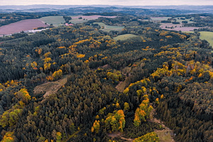 Autumn #3, a Nature Photo by jakub_kopecky