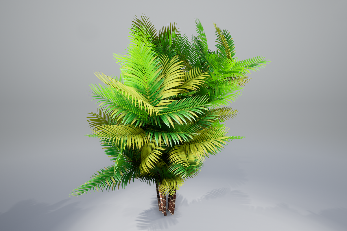 Pinanga coronata, an Environmental 3D Model by AndrewWhite (Photo 9 of 25)