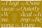 Dh Irlia - 7 Fashion Swash Family, a Serif Font by Dharmas Foundry (Thumbnail 9 of 19)