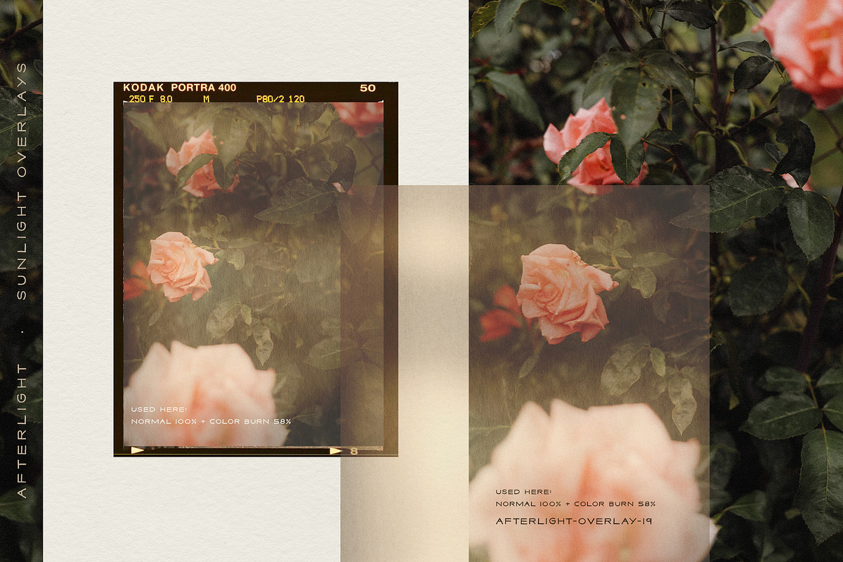 Afterlight - Light Overlays, a Texture Graphic by alonahaidash (Photo 17 of 18)