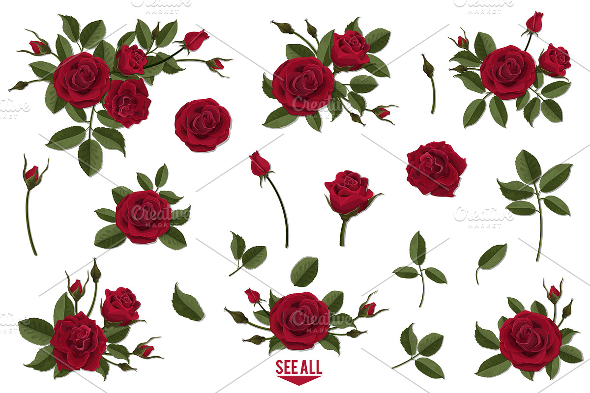 Set of white and red vector roses, an Illustration by belander (Photo 3 of 10)