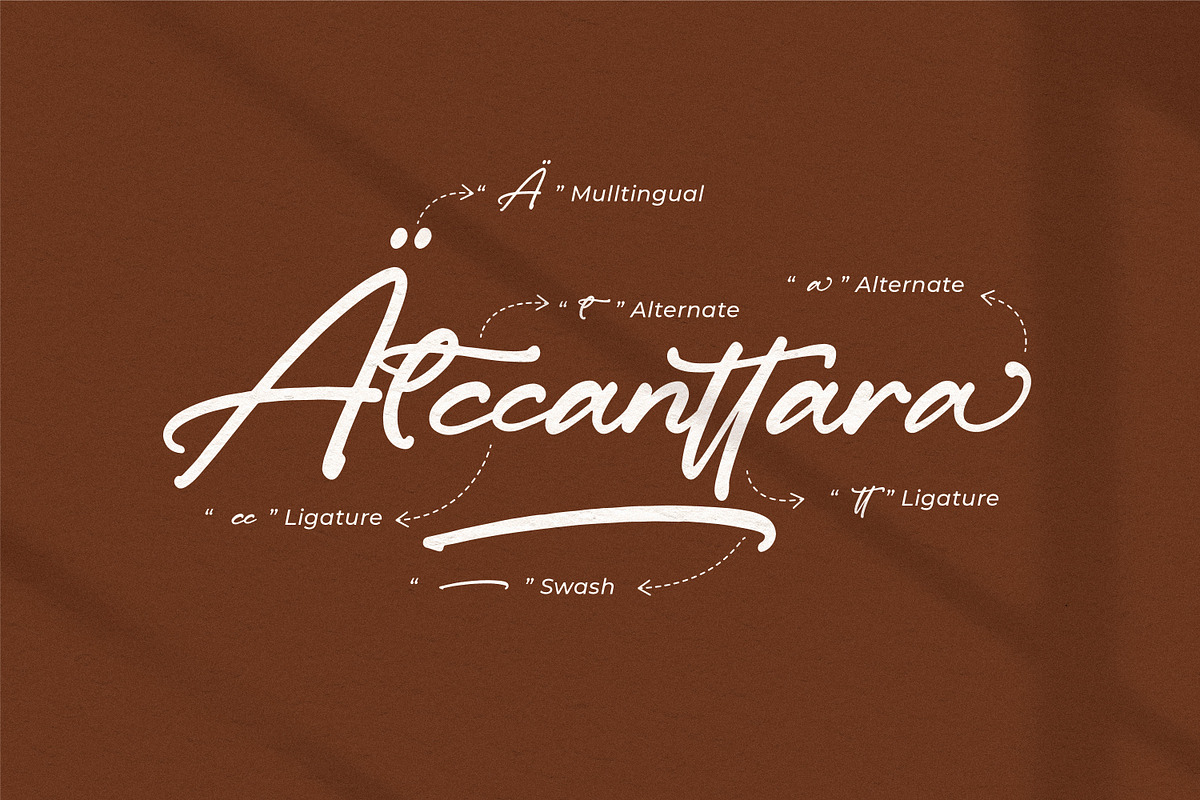 Anettasya Mottarue, a Script Font by Integritype Studio (Photo 14 of 15)