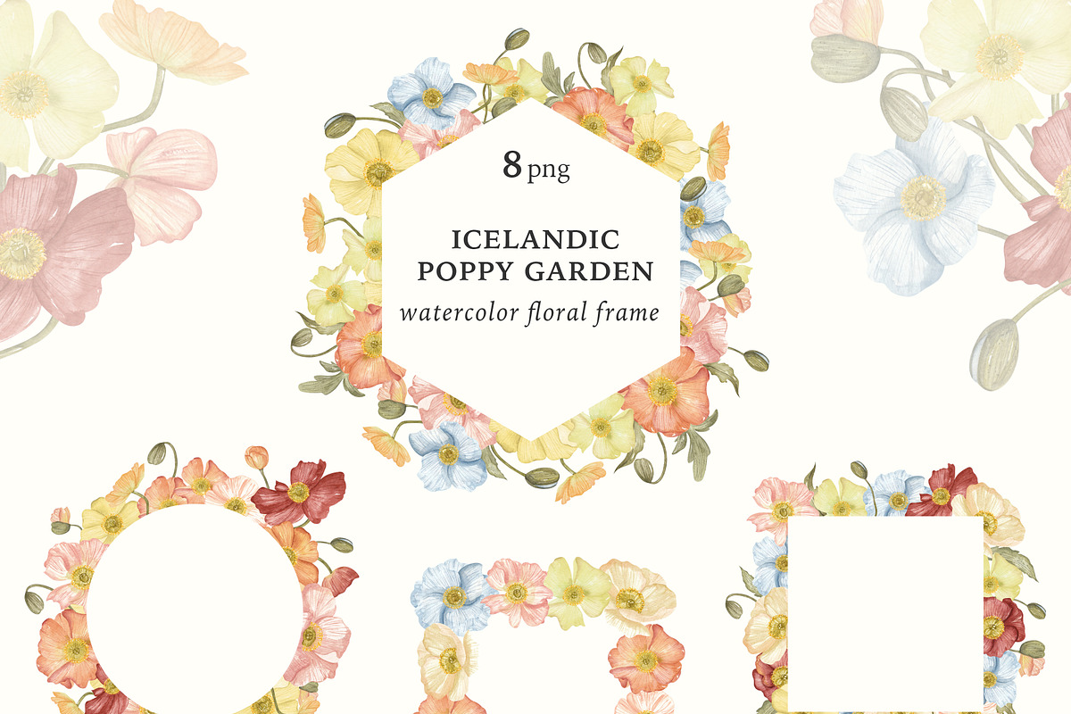 Watercolor Poppy. Bright Wildflower, a Decorative Illustration by Ooh Lily (Photo 13 of 15)