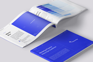 65-Page Brand Style Guidelines